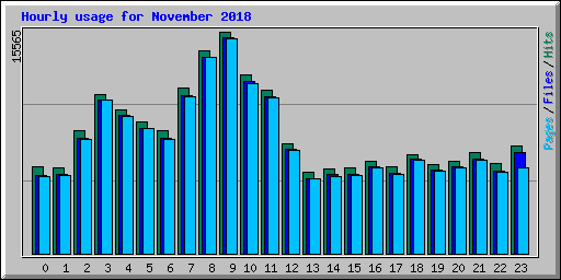 Hourly usage for November 2018