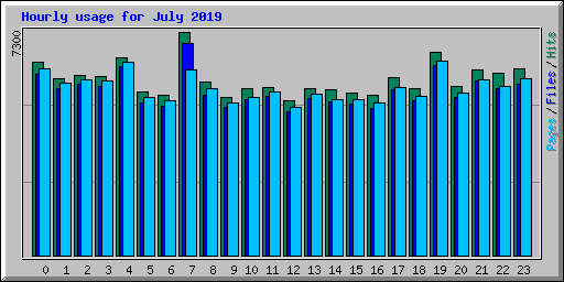 Hourly usage for July 2019