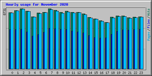 Hourly usage for November 2020