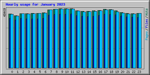 Hourly usage for January 2023