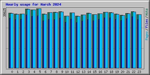 Hourly usage for March 2024