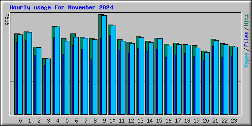 Hourly usage for November 2024