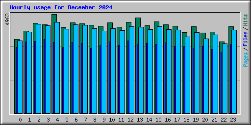 Hourly usage for December 2024