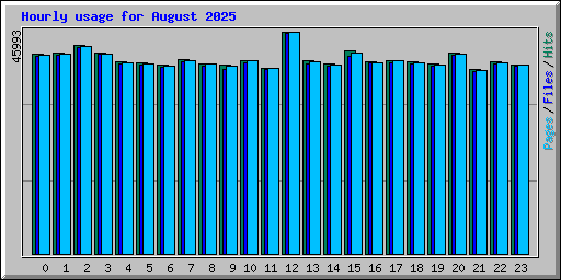 Hourly usage for August 2025