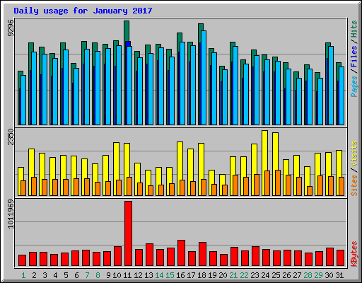 Daily usage for January 2017