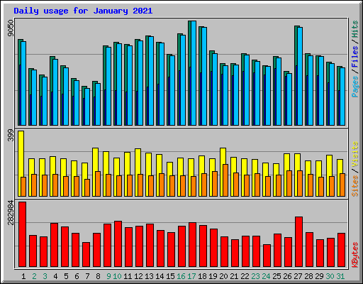 Daily usage for January 2021