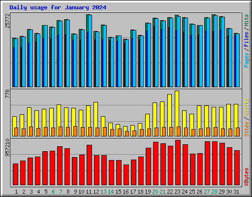 Daily usage for January 2024