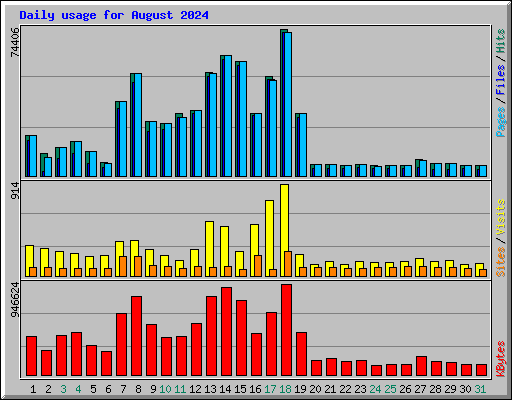 Daily usage for August 2024