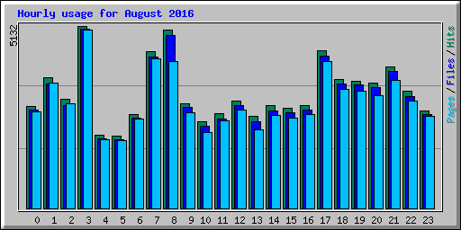 Hourly usage for August 2016