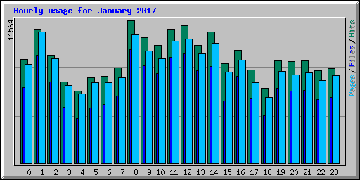 Hourly usage for January 2017