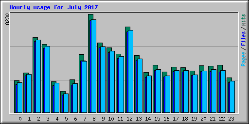 Hourly usage for July 2017