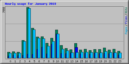 Hourly usage for January 2019