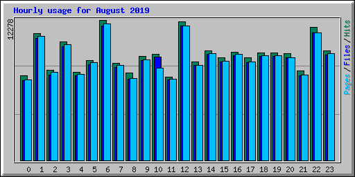 Hourly usage for August 2019