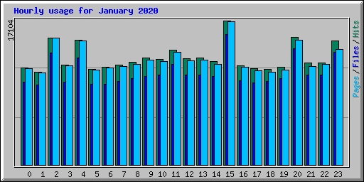 Hourly usage for January 2020