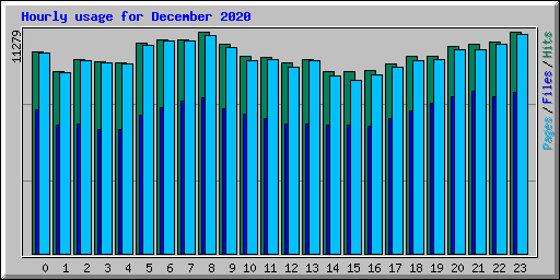 Hourly usage for December 2020