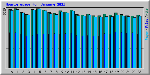 Hourly usage for January 2021