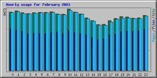 Hourly usage for February 2021