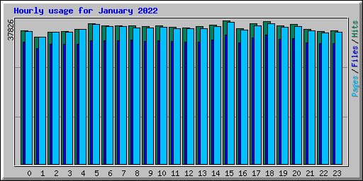 Hourly usage for January 2022