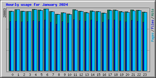 Hourly usage for January 2024