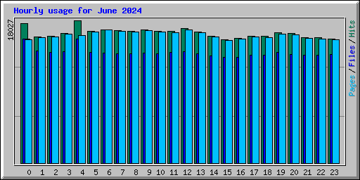 Hourly usage for June 2024