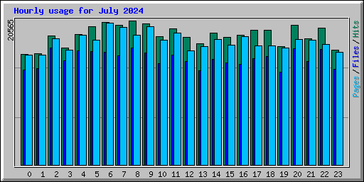 Hourly usage for July 2024