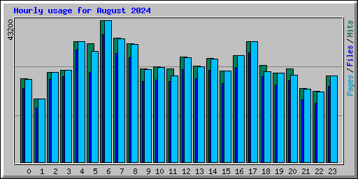 Hourly usage for August 2024