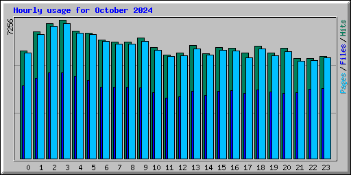 Hourly usage for October 2024