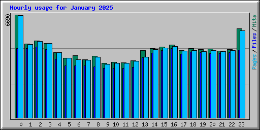 Hourly usage for January 2025